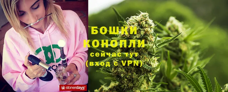 блэк спрут онион  Подольск  Бошки марихуана White Widow 